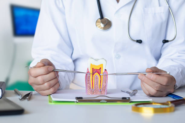 Best Emergency Dental Surgery in Maryland City, MD